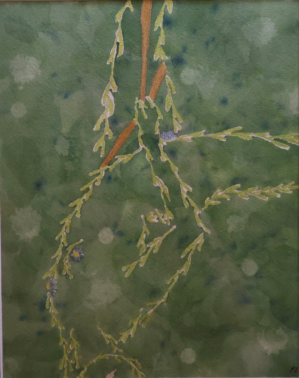 Hanging vines original watercolor paining 8x10 matted and framed to 11x14
