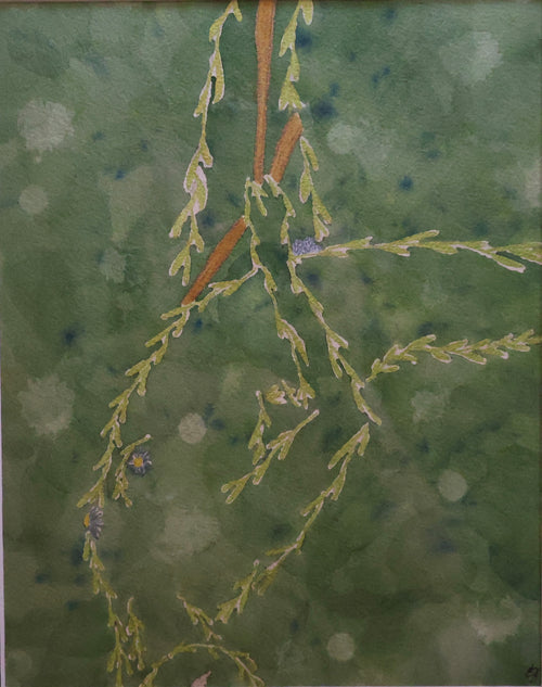 Hanging vines original watercolor paining 8x10 matted and framed to 11x14